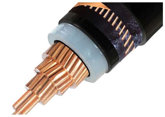 China Medium Voltage XLPE Insulated Power Cable Single Core 3 Core Copper Conductor XLPE Insulated Cable N2XSY supplier