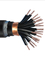 KVVP22 Cable Multiple Control cables ,  Electrical Cable And KVV cable supplier