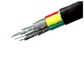 1000V Four Core PVC Insulated Cables &amp; Sheathed Power Cable with Aluminum Conductor supplier
