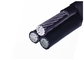 1 KV PE Insulated Aerial Bunch XLPE Insulated Power Cable 5 Cores With Neutral Conductor supplier