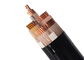 MultiCore Copper Conductor N2XY XLPE Insulated Power Cable PVC Sheathed supplier