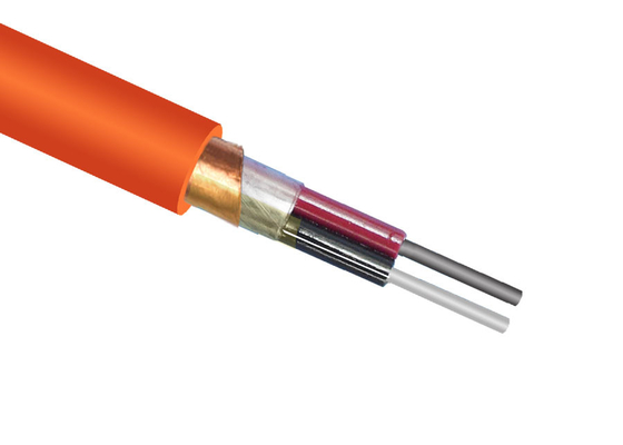 China Al Foil Plastic Screen PE Insulation Shielded Power Cable With CU Core supplier