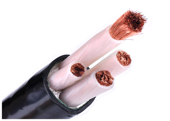 China Low Voltage XLPE Insulated Power Cable IEC 60228 Class 5 Copper Conductor PVC Sheath supplier