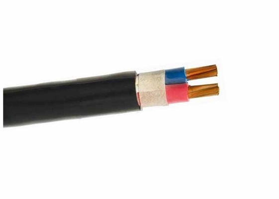 China 2 core 240mm XLPE Insulated Power Cable Copper Conductor , Armored Electric Cable 0.6/1KV supplier