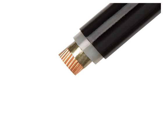 China Low Voltage XLPE Insulated Fire Proof Cable PVC Sheathed Copper Conductor supplier