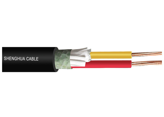 Low voltage 0.6/1kV XLPE Insulated  Power cable IEC standard Two Cores supplier