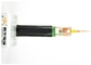 Custom 600 V 70 ℃ PVC Insulated Power Cable 2 Years Warranty CVV CVV-S supplier