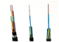 XLPE Insulated Control Cables supplier