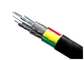 1000V Four Core PVC Insulated Cables &amp; Sheathed Power Cable with Aluminum Conductor supplier