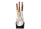 0.6 / 1 KV FRC XLPE / LSHF Fire Resistant Cable Low Smoke Halogen Free Cable supplier