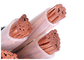 5 Cores CU PVC XLPE Power Cable IEC Standard ISO KEMA Approved 600/1000V supplier