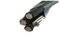 Al Conductor LDPE / HDPE / XLPE Insulated Cable 1kv Low Voltage Service Drop Cable supplier
