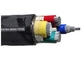 KEMA TUV Certificate 600/1000V PVC Insulated Cables 4 Core PVC Electrical Cable supplier