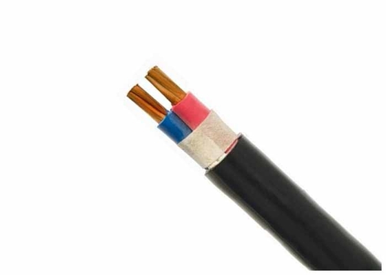 2 core 240mm XLPE Insulated Power Cable Copper Conductor , Armored Electric Cable 0.6/1KV supplier