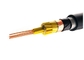 Flexible class 5 PVC Insulation Copper Wire 24 Core Control Cable supplier