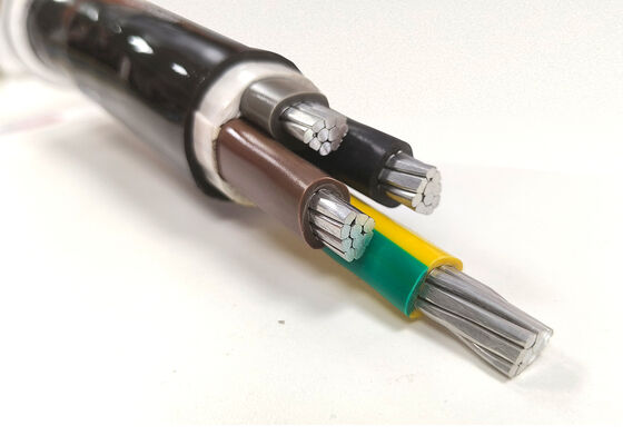 NYY-O 1x300mm2 Oxygen-Free Copper PVC Insulated Single Core Power Cable for Distribution 0.6/1kV supplier