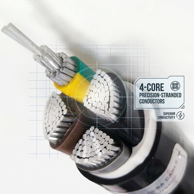 Waterproof Moisture Resistant PVC Insulated Cable 0.6/1kV 2 Core 2x4mm2 Outdoor Wet Area supplier