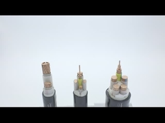70Sqmm Concentric Conductor XLPE Insulated Power Cable YJV N2XCY
