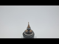 AWA SWA Armoured Copper 100m Length PVC Sheathed Stranded Cable