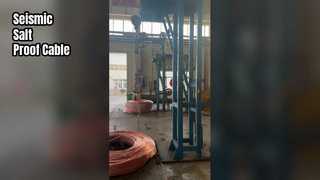 Shenghua 26 35kV Cable Seismic Salt Immune